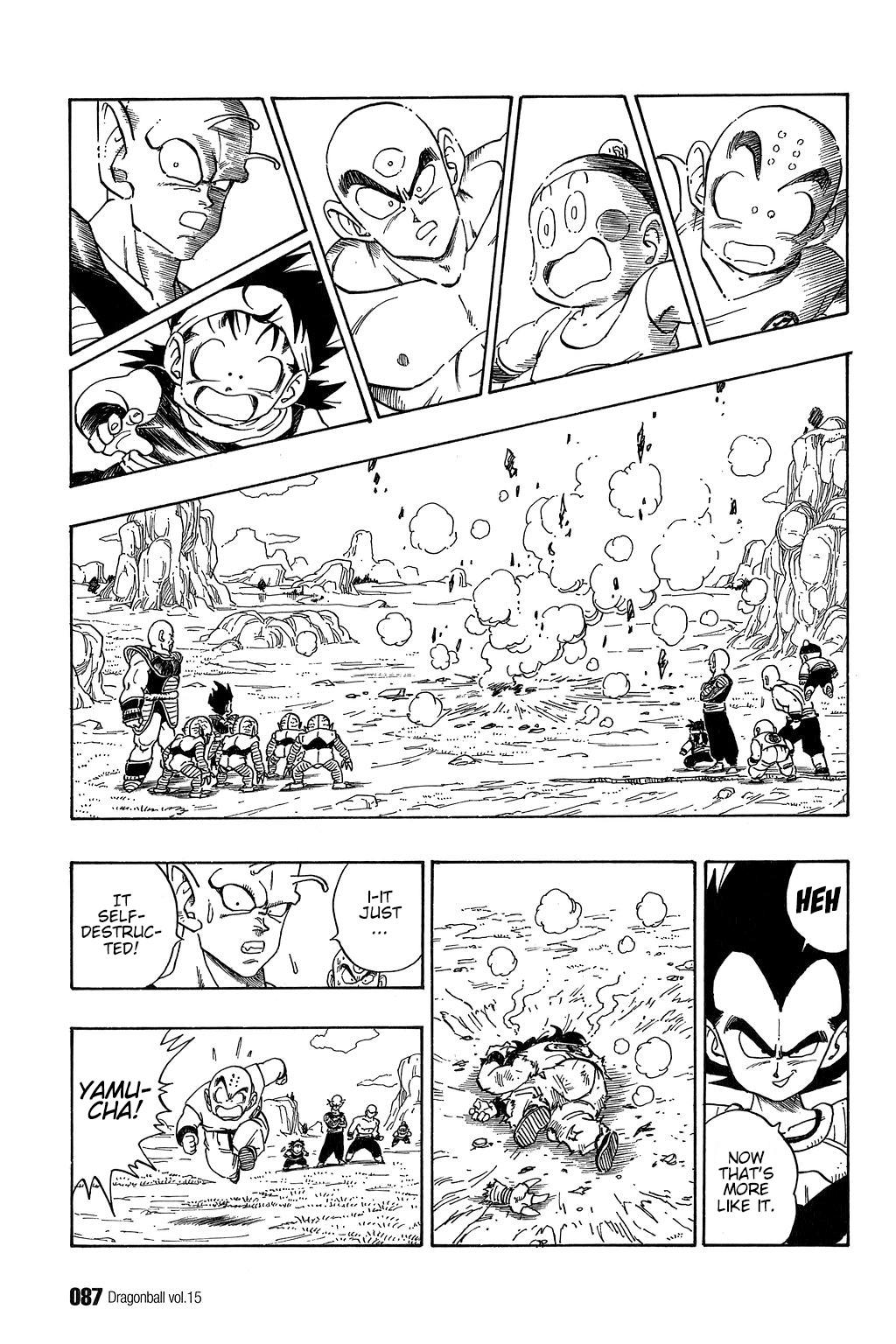 Dragon Ball Chapter 215 12